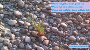 12049717_956588231070638_8808740005193211540_n